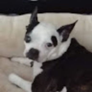 Meet your Posher, Sue